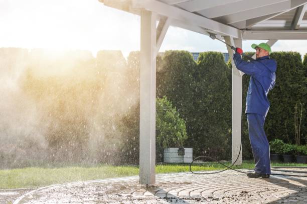 Professional Pressure Washing Services in Mcalmont, AR